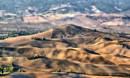 Zdjecie WOCHY / Toskania / Pienza / Toskania