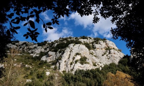 Zdjcie WOCHY / Sycylia / Cavagrande del Cassibile / W kanionie Cavagrande del Cassibile