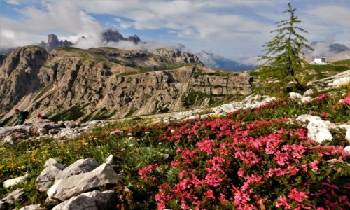 Zdjecie WOCHY / dolomity /  Tre Cime / kolory dolomitw