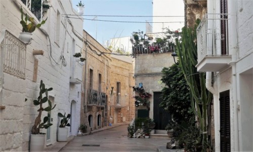 Zdjęcie WłOCHY / Apulia / Monopoli / Spacerkiem po Monopoli - pod murami miejskimi