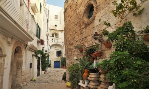 Zdjecie WOCHY / Apulia / Monopoli / Spacerkiem po Monopoli - na uliczkach jest mnstwo zieleni