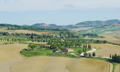 Zdjcie WOCHY / Toskania / Pienza / Toskaski pejza