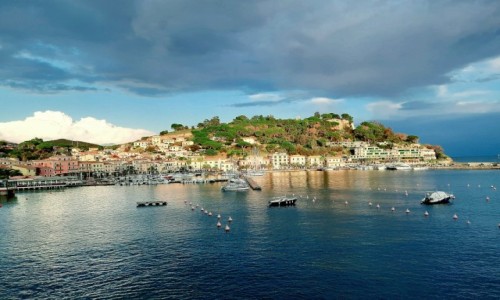 Zdjcie WOCHY / Toskania  / Wyspa Elba  / Porto Azzurro