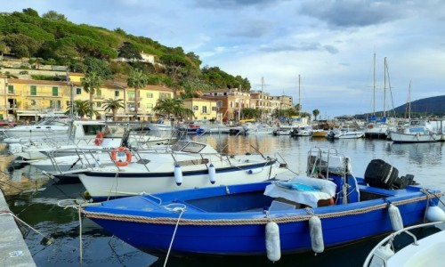 Zdjcie WOCHY / Toskania  / Wyspa Elba, Porto Azzurro  / Marina 