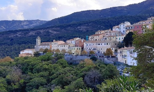 Zdjcie WOCHY / Toskania  / Wyspa Elba  / Marciana