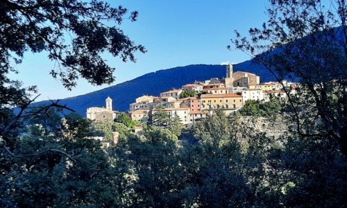 Zdjcie WOCHY / Toskania  / Wyspa Elba  / Podgldanie Poggio