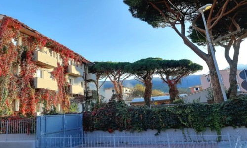 Zdjcie WOCHY / Toskania  / Wyspa Elba , Marciana Marina / W jesiennych barwach