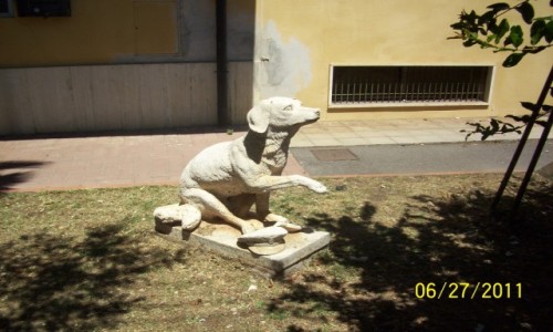 Zdjecie WOCHY / Toskania / Campiglia Marittima - dworzec kolejowy / A oto i sam pies... (ktry jedzi kolej ).