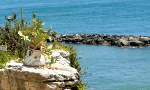 Zdjecie WOCHY / Apulia / Vieste / Pod socem Apulii