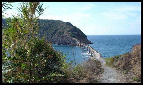 Zdjęcie WłOCHY / brak / isola di procida / isola di vivara
