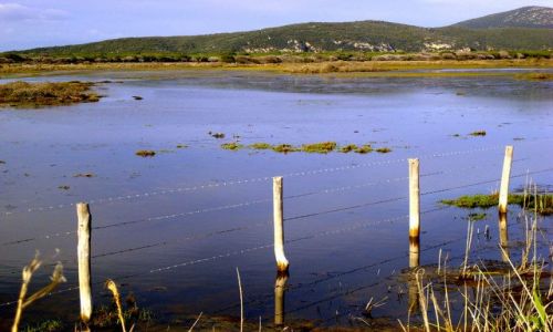 Zdjecie WOCHY / Toskania / parco Naturale della MAremma / bagniska Maremmy