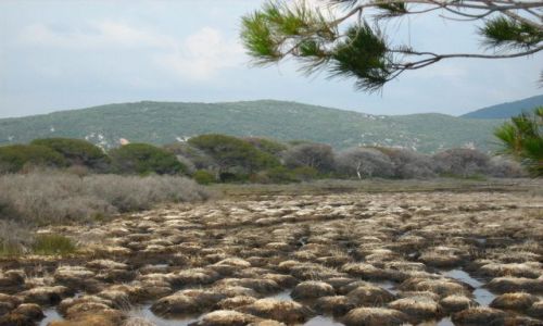Zdjecie WOCHY / Toskania / parco Naturale della MAremma / bagniska