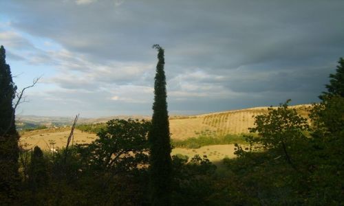 Zdjęcie WłOCHY / Marche / San Severino Marche / widoczek