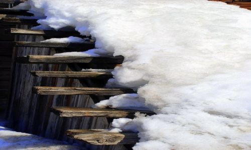 Zdjecie WłOCHY / Livigno / Trepalle / s c h o d a m i