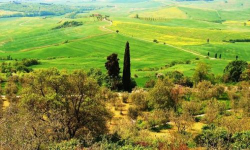 Zdjecie WOCHY / Toskania / Pienza / Sama rado...