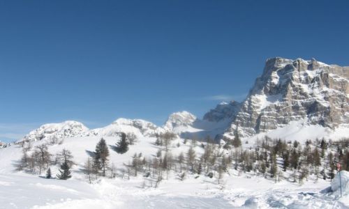 Zdjecie WOCHY / Dolomity / Alleghe / Na stoku