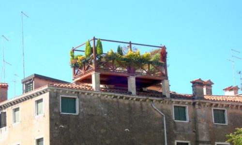 Zdjęcie WłOCHY / Wenecja / weneckie ogrody / przygoda z Wenecją