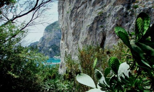 Zdjęcie WłOCHY / blisko Sorrento / na Capri  / Perła morza Tyreńskiego - Capri