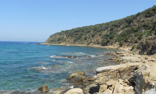 Zdjcie WOCHY / Maremma / Punta Ala / wybrzee