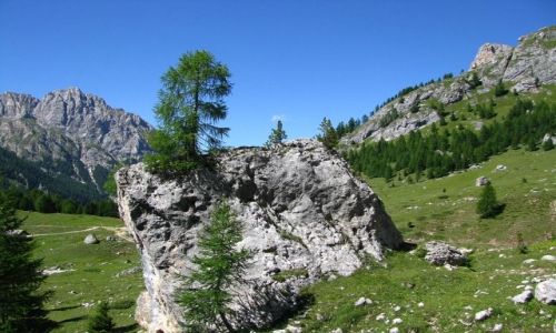 Zdjęcie WłOCHY / . / Dolomity / W drodze do Alba di Canazei