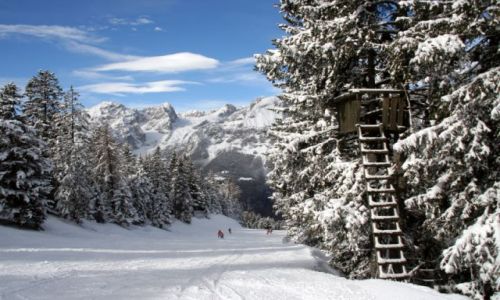 Zdjcie WOCHY / val di Sole / Paganella / na trasie