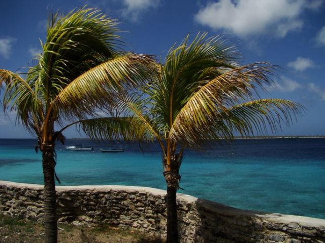Zdjęcia: Bonaire, wpatrzone w morze, WYSPY KARAIBSKIE Zdjęcia: Bonaire, wpatrzone w morze, WYSPY KARAIBSKIE