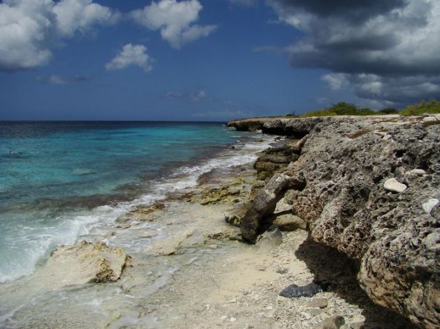Zdjęcia: Bonaire, nad brzegiem morza 2, WYSPY KARAIBSKIE Zdjęcia: Bonaire, nad brzegiem morza 2, WYSPY KARAIBSKIE