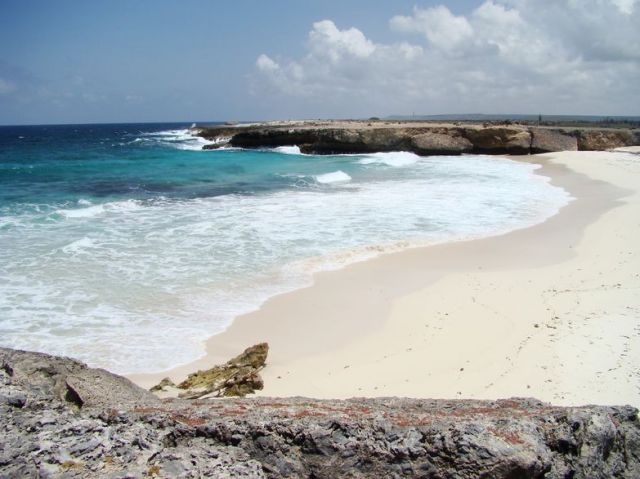 Zdjęcia: Washington Slagbaai National Park, Bonaire, nad brzegiem morza 4, WYSPY KARAIBSKIE Zdjęcia: Washington Slagbaai National Park, Bonaire, nad brzegiem morza 4, WYSPY KARAIBSKIE