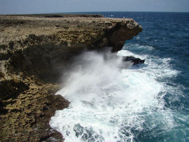 Zdjęcia: Washington Slagbaai National Park, Bonaire, nad brzegiem morza 5, WYSPY KARAIBSKIE Zdjęcia: Washington Slagbaai National Park, Bonaire, nad brzegiem morza 5, WYSPY KARAIBSKIE