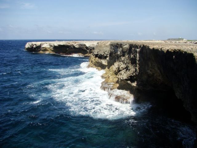 Zdjęcia: Washington Slagbaai National Park, Bonaire, nad brzegiem morza 7, WYSPY KARAIBSKIE Zdjęcia: Washington Slagbaai National Park, Bonaire, nad brzegiem morza 7, WYSPY KARAIBSKIE