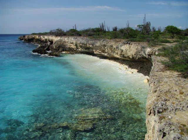 Zdjęcia: Washington Slagbaai National Park, Bonaire, nad brzegiem morza 9, WYSPY KARAIBSKIE Zdjęcia: Washington Slagbaai National Park, Bonaire, nad brzegiem morza 9, WYSPY KARAIBSKIE