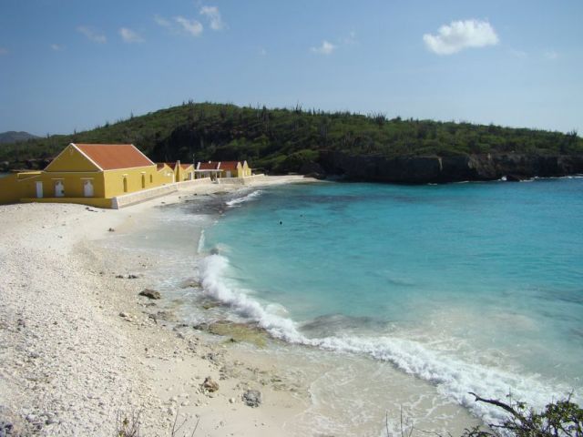 Zdjęcia: Washington Slagbaai National Park, Bonaire, nad brzegiem morza 11, WYSPY KARAIBSKIE Zdjęcia: Washington Slagbaai National Park, Bonaire, nad brzegiem morza 11, WYSPY KARAIBSKIE
