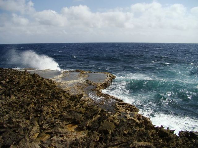 Zdjęcia: Curacao, nad brzegiem morza 13, WYSPY KARAIBSKIE Zdjęcia: Curacao, nad brzegiem morza 13, WYSPY KARAIBSKIE
