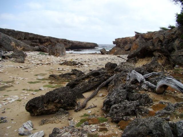Zdjęcia: Shete Boka National Park, Curacao, nad brzegiem morza 15, WYSPY KARAIBSKIE Zdjęcia: Shete Boka National Park, Curacao, nad brzegiem morza 15, WYSPY KARAIBSKIE