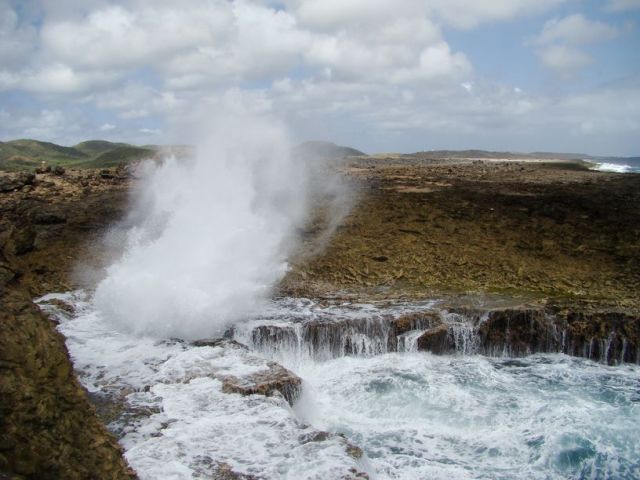 Zdjęcia: Shete Boka National Park, Curacao, nad brzegiem morza 17, WYSPY KARAIBSKIE Zdjęcia: Shete Boka National Park, Curacao, nad brzegiem morza 17, WYSPY KARAIBSKIE