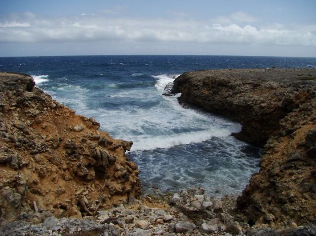 Zdjęcia: Shete Boka National Park, Curacao, nad brzegiem morza 18, WYSPY KARAIBSKIE Zdjęcia: Shete Boka National Park, Curacao, nad brzegiem morza 18, WYSPY KARAIBSKIE