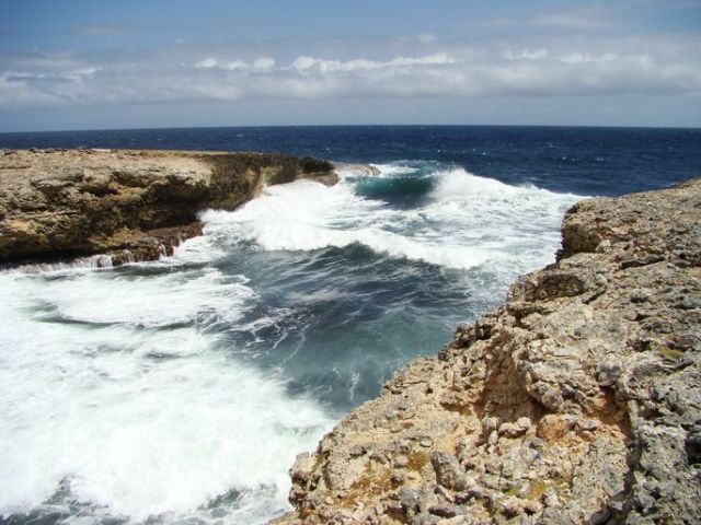 Zdjęcia: Shete Boka National Park, Curacao, nad brzegiem morza 19, WYSPY KARAIBSKIE Zdjęcia: Shete Boka National Park, Curacao, nad brzegiem morza 19, WYSPY KARAIBSKIE