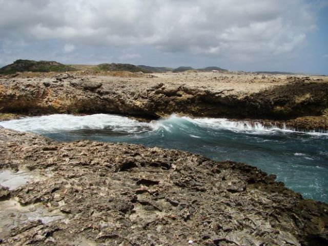 Zdjęcia: Shete Boka National Park, Curacao, nad brzegiem morza 23, WYSPY KARAIBSKIE Zdjęcia: Shete Boka National Park, Curacao, nad brzegiem morza 23, WYSPY KARAIBSKIE