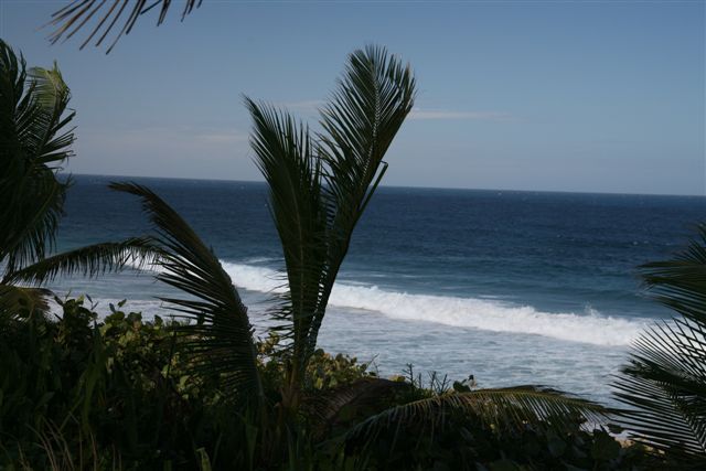 Zdjęcia: na północnym wybrzeżu, Puerto Rico / Portoryko, Wybrzeże, WYSPY KARAIBSKIE Zdjęcia: na północnym wybrzeżu, Puerto Rico / Portoryko, Wybrzeże, WYSPY KARAIBSKIE
