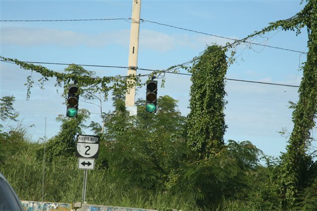 Zdjęcia: Arecibo, Puerto Rico / Portoryko, Na skrzyżowaniu, WYSPY KARAIBSKIE Zdjęcia: Arecibo, Puerto Rico / Portoryko, Na skrzyżowaniu, WYSPY KARAIBSKIE