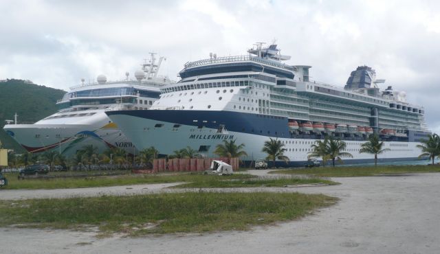 Zdjęcia: St. Thomas ,Charlotte Amalie, US VI, Giganty na łące 2, WYSPY KARAIBSKIE Zdjęcia: St. Thomas ,Charlotte Amalie, US VI, Giganty na łące 2, WYSPY KARAIBSKIE