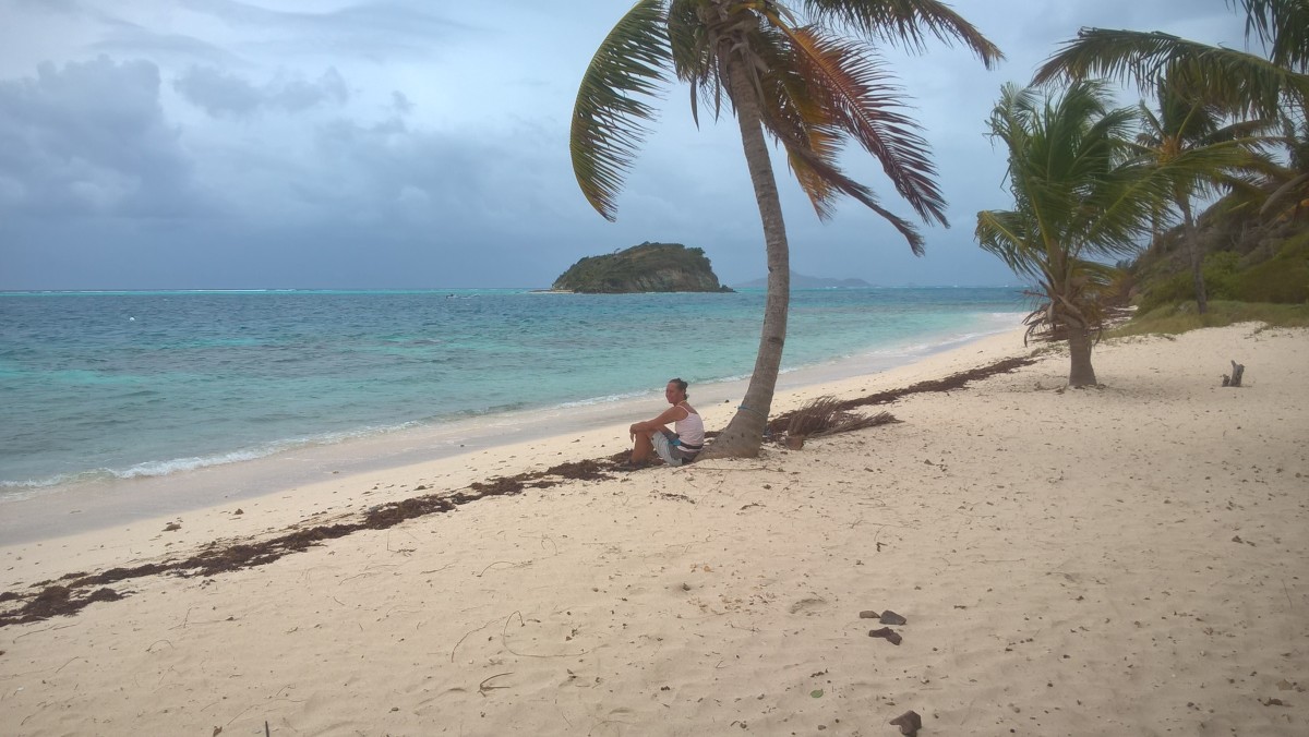 Zdjęcia: Tobago Cays, Martynika, Union Islands, WYSPY KARAIBSKIE Zdjęcia: Tobago Cays, Martynika, Union Islands, WYSPY KARAIBSKIE