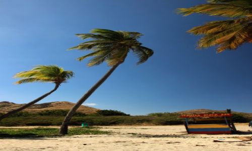 Zdjcie WYSPY KARAIBSKIE / - / Saint Kitts i Nevis / Saint Kitts / bar na plazy
