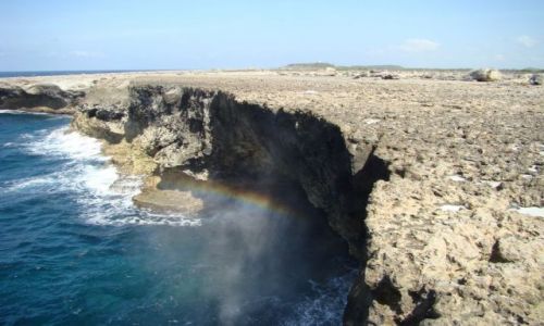 Zdjecie WYSPY KARAIBSKIE / Bonaire / Washington Slagbaai National Park / nad brzegiem morza 8