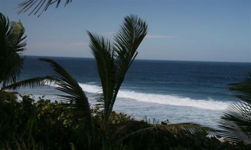 Zdjcie WYSPY KARAIBSKIE / Puerto Rico / Portoryko / na pnocnym wybrzeu / Wybrzee