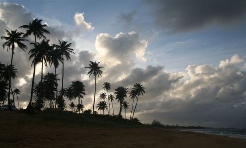 Zdjęcie WYSPY KARAIBSKIE / Puerto Rico /  Portoryko / Luquillo / Plaża 2