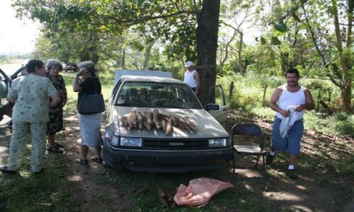 Zdjęcie WYSPY KARAIBSKIE / Puerto Rico /  Portoryko / Ponce / Przydrożny handelek yuką