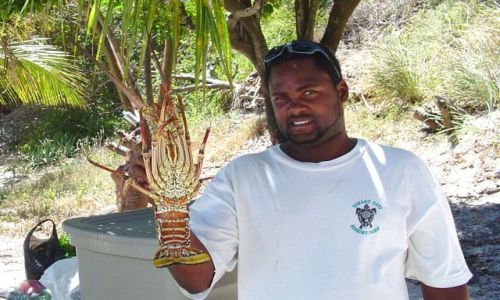 Zdjecie WYSPY KARAIBSKIE / Tobago Cays / Horseshoe Reef / Czy moe by ten lobster ?