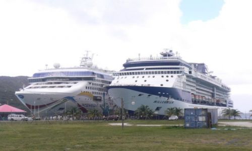 Zdjecie WYSPY KARAIBSKIE / Amerykaskie Wyspy Dziewicze / St. Thomas ,Charlotte Amalie / Giganty na ce