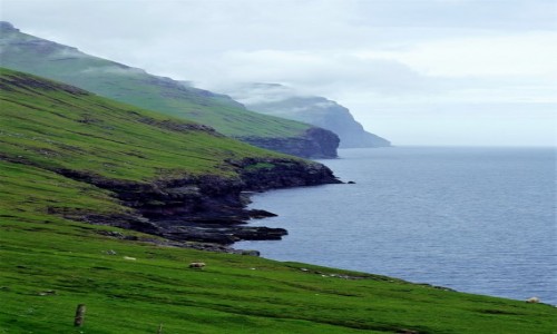 Zdjcie WYSPY OWCZE / Wyspa Kalsoy / Trøllanes  / Brzegiem wyspy